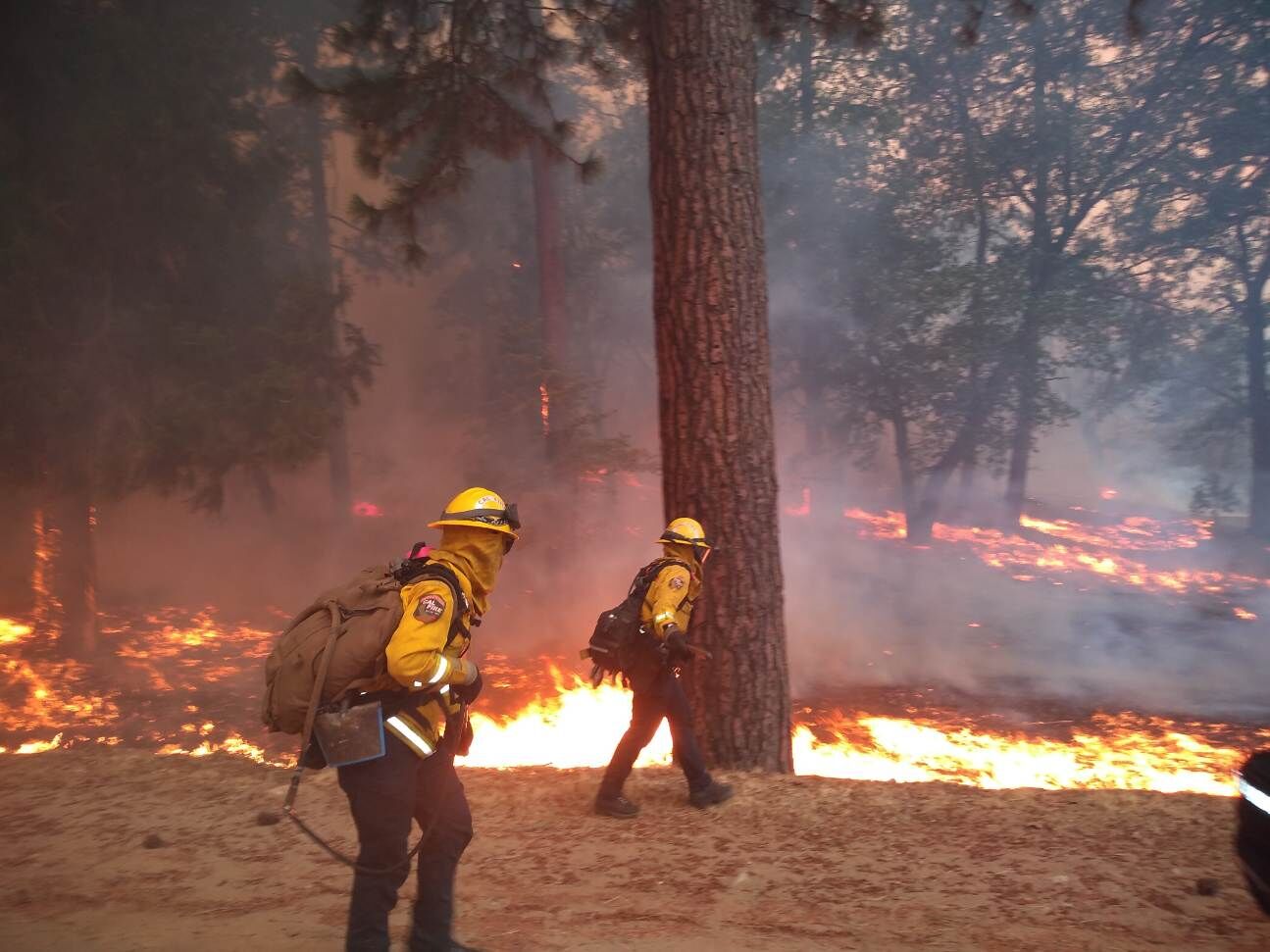 Apple Fire